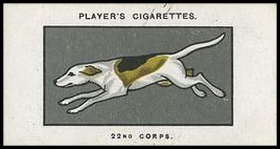 24PACDS 40 22nd Corps.jpg